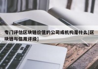 专门评估区块链价值的公司或机构是什么[区块链与信用评级]