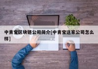 中青宝区块链公司简介[中青宝这家公司怎么样]